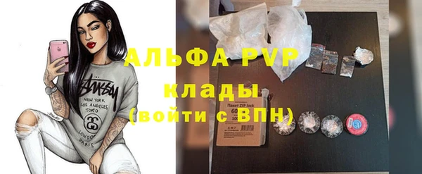 Альфа ПВП Инсар