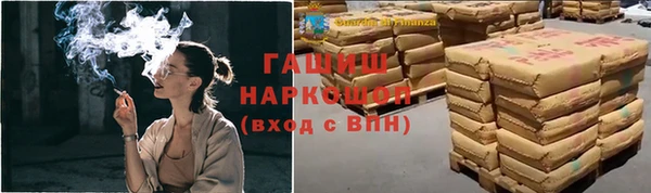 Альфа ПВП Инсар