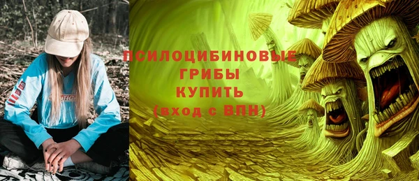спайс Инта