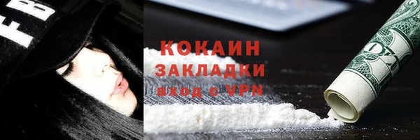 Альфа ПВП Инсар