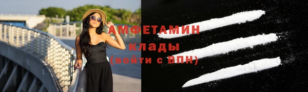Альфа ПВП Инсар