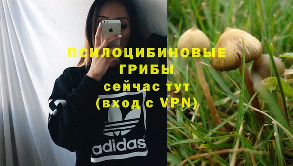 спайс Инта