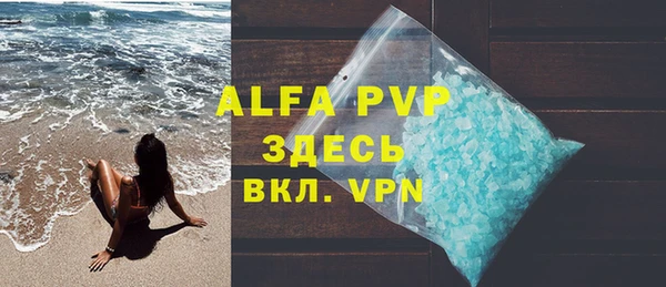 спайс Инта