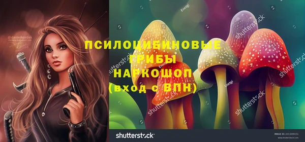 Альфа ПВП Инсар