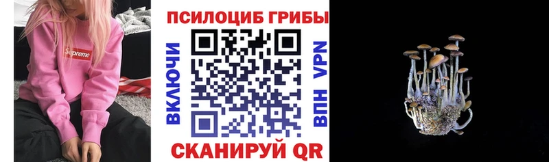 Купить закладки  Заозёрный  Галлюциногенные грибы мицелий 